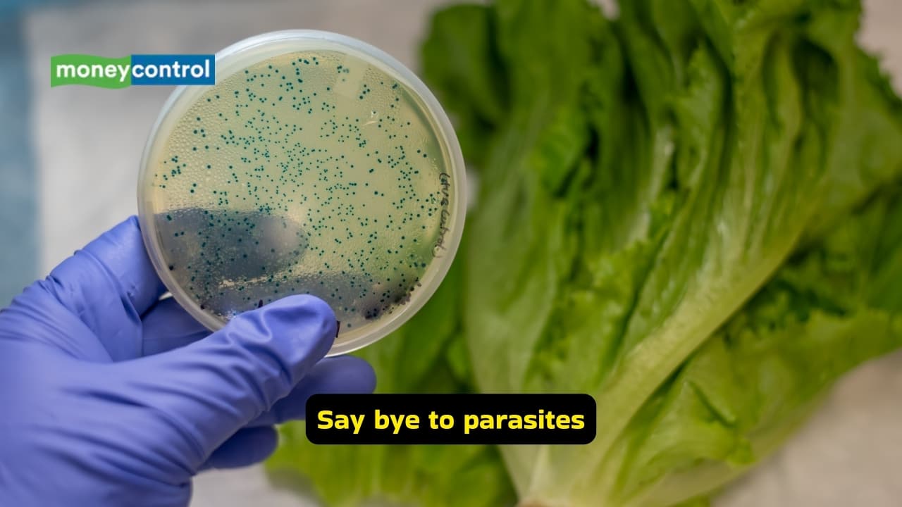 Say bye to parasites Parasitic diseases like amoebiasis, ascariasis, and giardiasis can be avoided if hand washing practices are adequately followed. It has been found that parasitic eggs stick to the hands if there has been a contact with contaminated soil, and these get transmitted. Say bye to parasites Parasitic diseases like amoebiasis, ascariasis, and giardiasis can be avoided if hand washing practices are adequately followed. It has been found that parasitic eggs stick to the hands if there has been a contact with contaminated soil, and these get transmitted.
