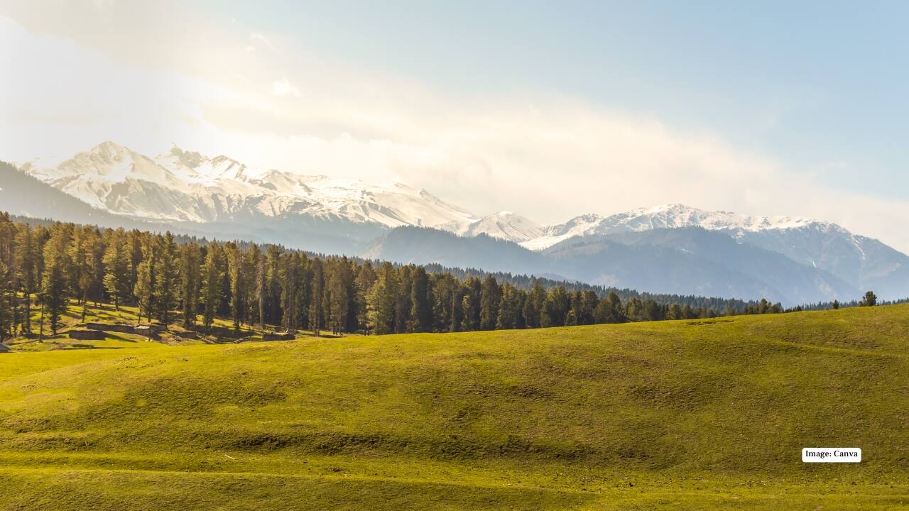 6. Yusmarg – Meadows Wrapped in Snow Known for its expansive meadows and pine forests, Yusmarg turns into a snow-covered playground in winter. Perfect for picnics, nature walks, or just soaking in the quiet, its untouched beauty makes it a favorite for travelers seeking less commercialized spots. 6. Yusmarg – Meadows Wrapped in Snow Known for its expansive meadows and pine forests, Yusmarg turns into a snow-covered playground in winter. Perfect for picnics, nature walks, or just soaking in the quiet, its untouched beauty makes it a favorite for travelers seeking less commercialized spots.