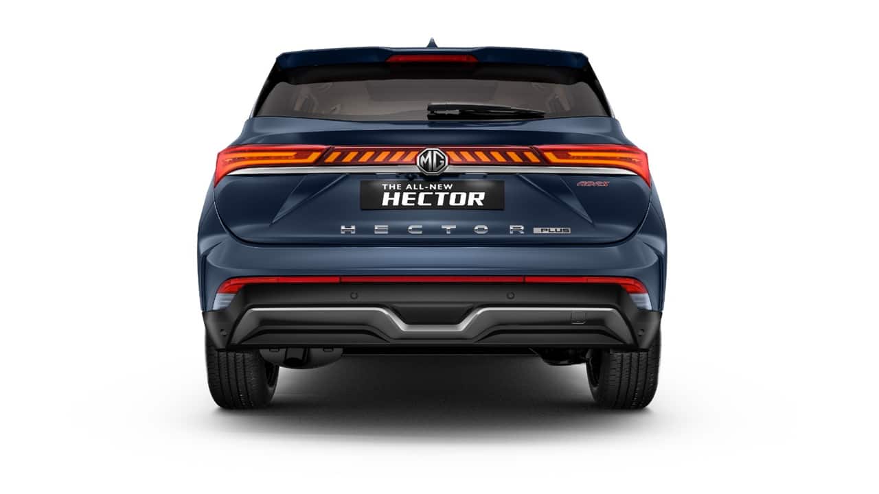 hectorback