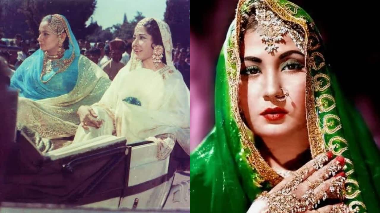 When actress Nadira revealed Meena Kumari had a habit of collecting stones from different places, “usse pattharon mein shakal dikhayi deti thi, uske kabr par sirff..."