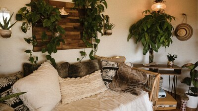 Home decor tips: In 2025, nature-inspired design moved far beyond the token houseplant. Interiors grew softer and quieter, shaped by the companionship of plants and the wisdom of nature (Image: Pexels)