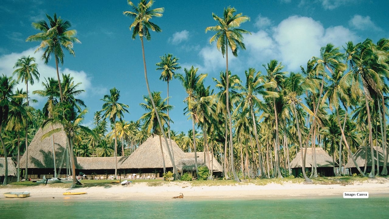 3. Vanua Levu, Fiji - Best for great accommodation Fiji’s quieter second-largest island delivers postcard perfection without the premium prices. Vanua Levu is known for vibrant coral reefs, lush interiors dotted with waterfalls, and welcoming villages. Budget travellers can stay in traditional bure huts or local guesthouses and feast on affordable local dishes like kokoda. Prices dip further during the wet season from November to April.
