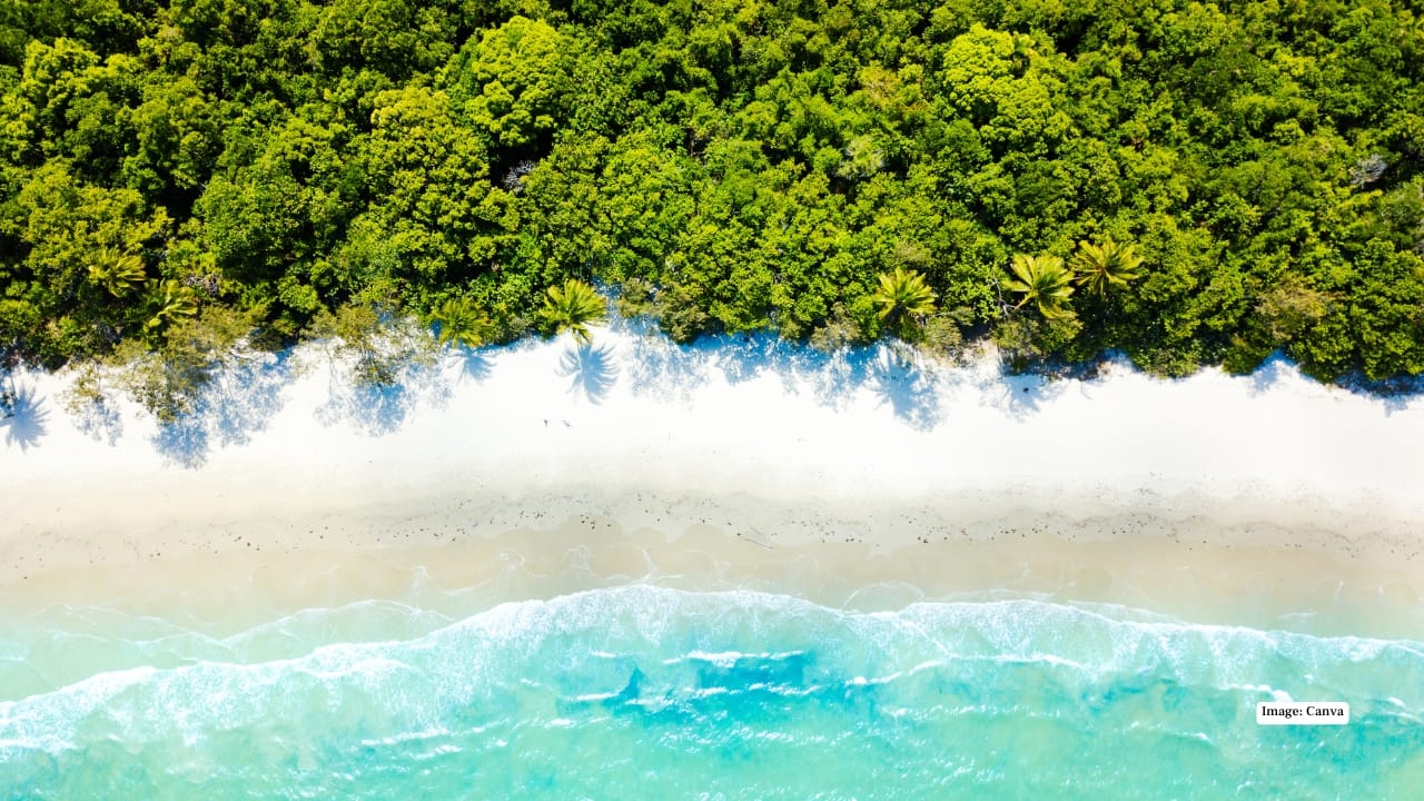 7. Far North Queensland, Australia - Best for a tropical city getaway Cairns proves Australia can be done on a budget. This tropical city is the gateway to the Great Barrier Reef and lush rainforests, with hostels, budget motels and happy-hour deals aplenty. Base yourself in Cairns or nearby Trinity and Clifton beaches, and visit in April–May or September–October for better prices.