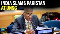 India Rips Into Pakistan at UNSC Over Kashmir, Terrorism and Democracy