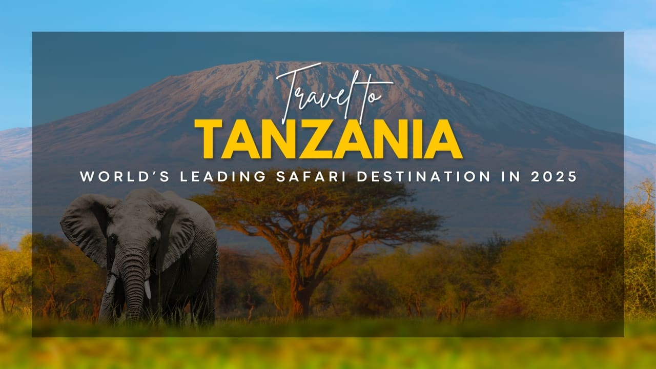Tanzania crowned world’s leading safari destination in 2025 – here’s why you can’t miss it