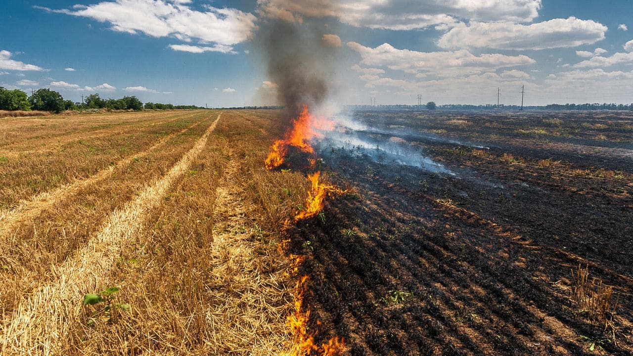 A timing shift in stubble burning could be worsening North India’s air, NASA says