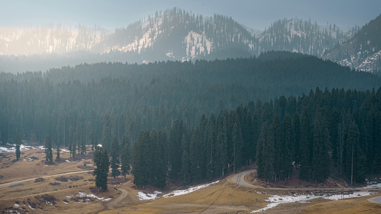 (Image: Unsplash)