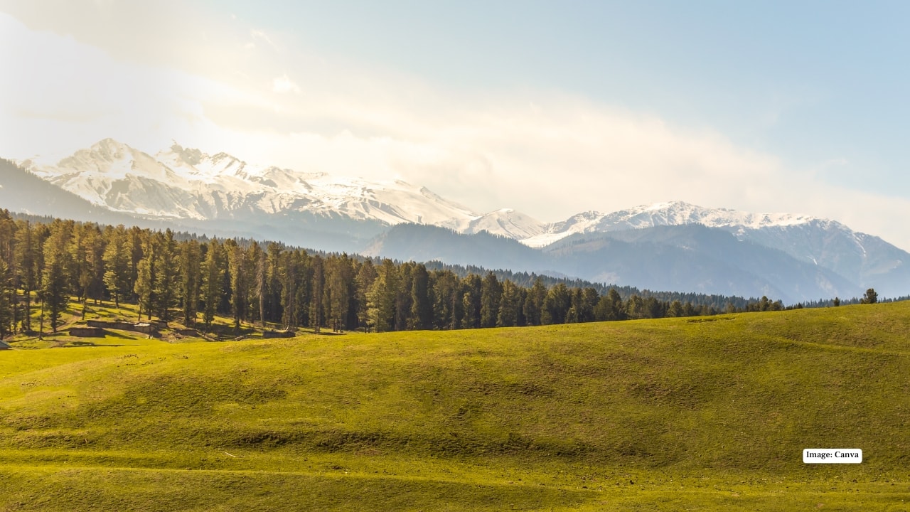 (Image: Canva)
