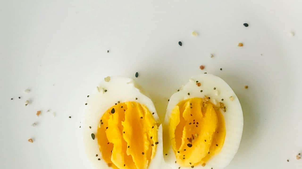 Harvard-trained doctor shares complete ‘protein cheat sheet’, lists top food sources rich in the macronutrient