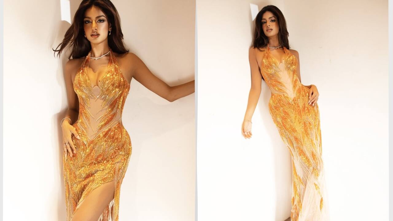 Former Miss Universe Harnaaz Sandhu stuns in a see-through gown, her on-point makeup adds to the glam