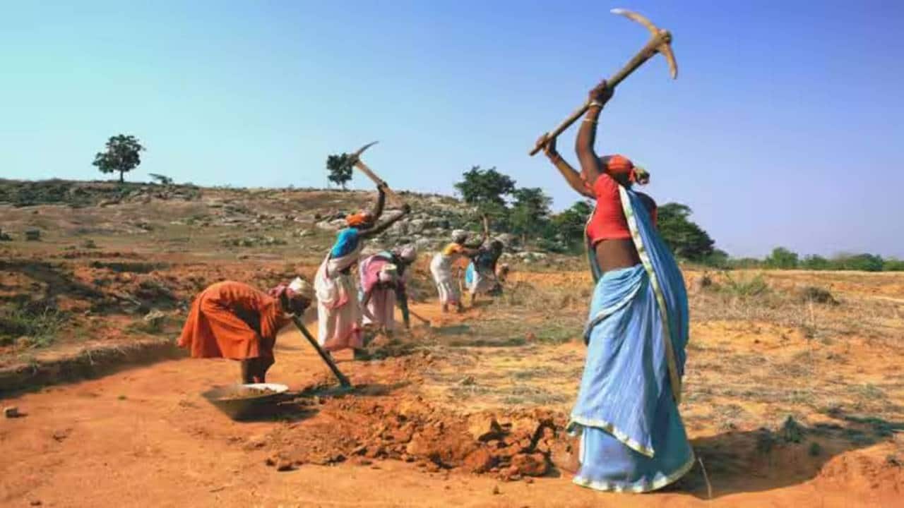Stiglitz, Piketty, other economists urge Centre to restore MGNREGA: 'To dismantle it now would be a historic error'