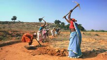 OPINION | MGNREGA is not being merely replaced; welfare philosophy is being overturned