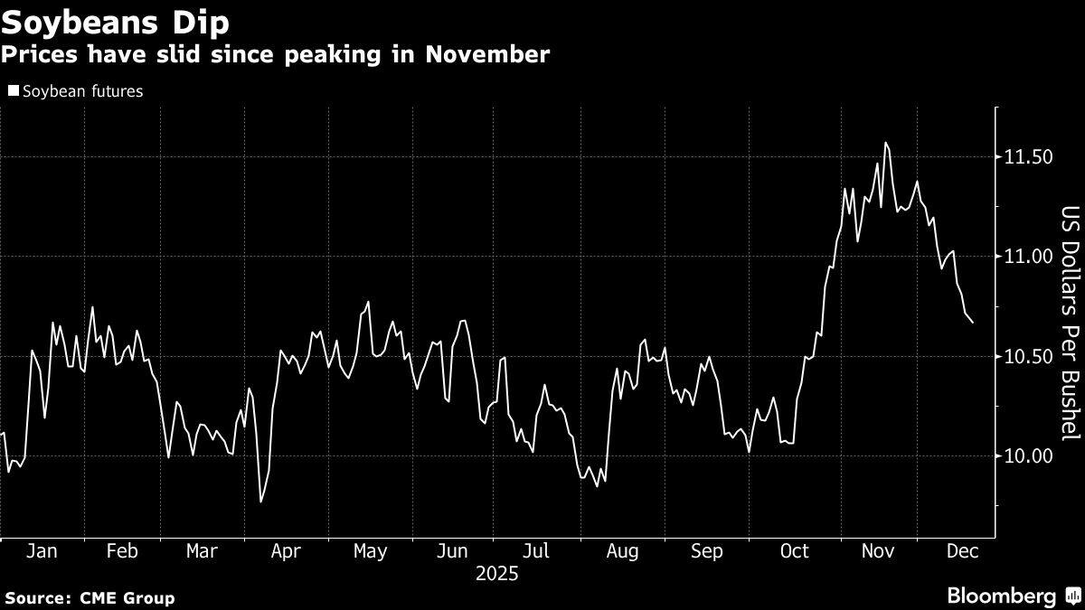 Soybeans Dip | Prices have slid since peaking in November