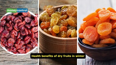 Health benefits of dry fruits in winter: Dry fruits like cranberry, raisins, apricot and others make for perfect additions to your winter diet as they are nutrient-dense, keep you full for longer, and also help fight infections (Images: Canva)