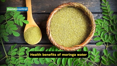 Moringa water health benefits: Moringa water shouldn't be treated as a magic bullet. Experts stress that it should complement, not replace, prescribed treatments for diabetes or high cholesterol (Image: Pexels)
