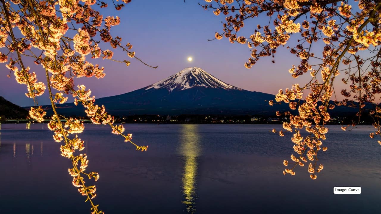 Japan’s first cherry blossom forecast for 2026 revealed — here’s when Tokyo, Kyoto and Osaka will turn pink sooner than expected