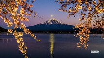 Japan’s first cherry blossom forecast for 2026 revealed — here’s when Tokyo, Kyoto and Osaka will turn pink sooner than expected