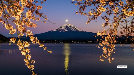 Japan’s first cherry blossom forecast for 2026 revealed — here’s when Tokyo, Kyoto and Osaka will turn pink sooner than expected