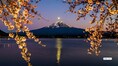 Japan’s first cherry blossom forecast for 2026 revealed — here’s when Tokyo, Kyoto and Osaka will turn pink sooner than expected