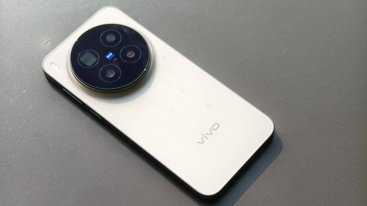vivo