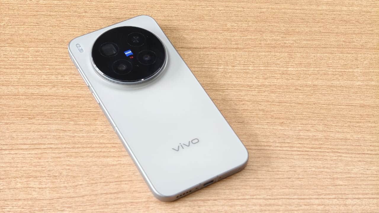 vivo vivo