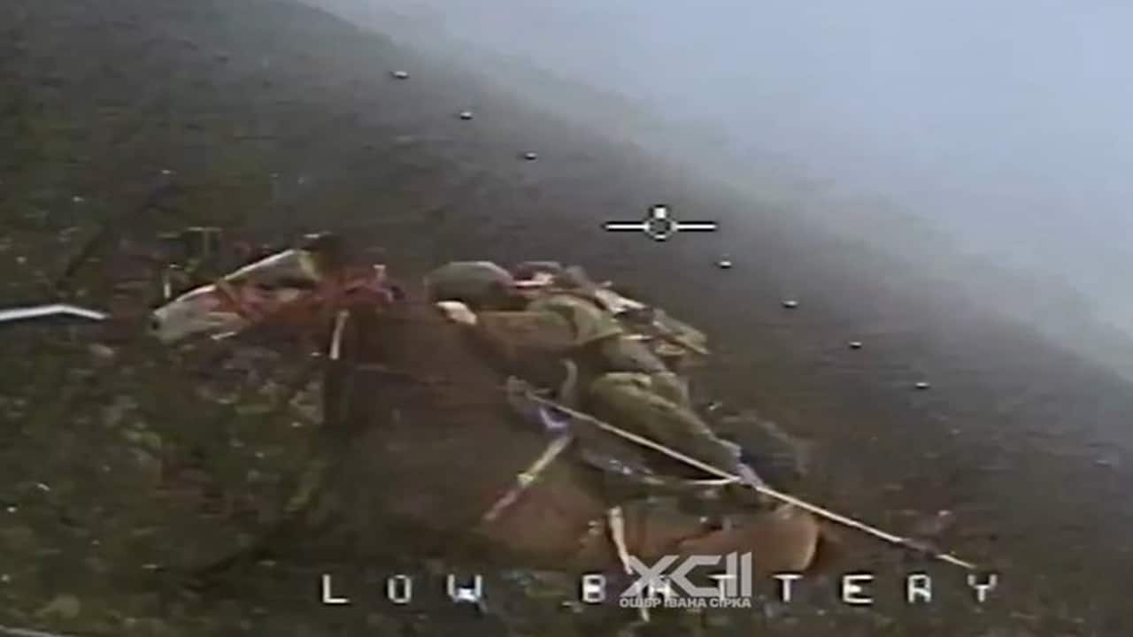 Watch: Ukrainian drone targets Russian soldier on horseback