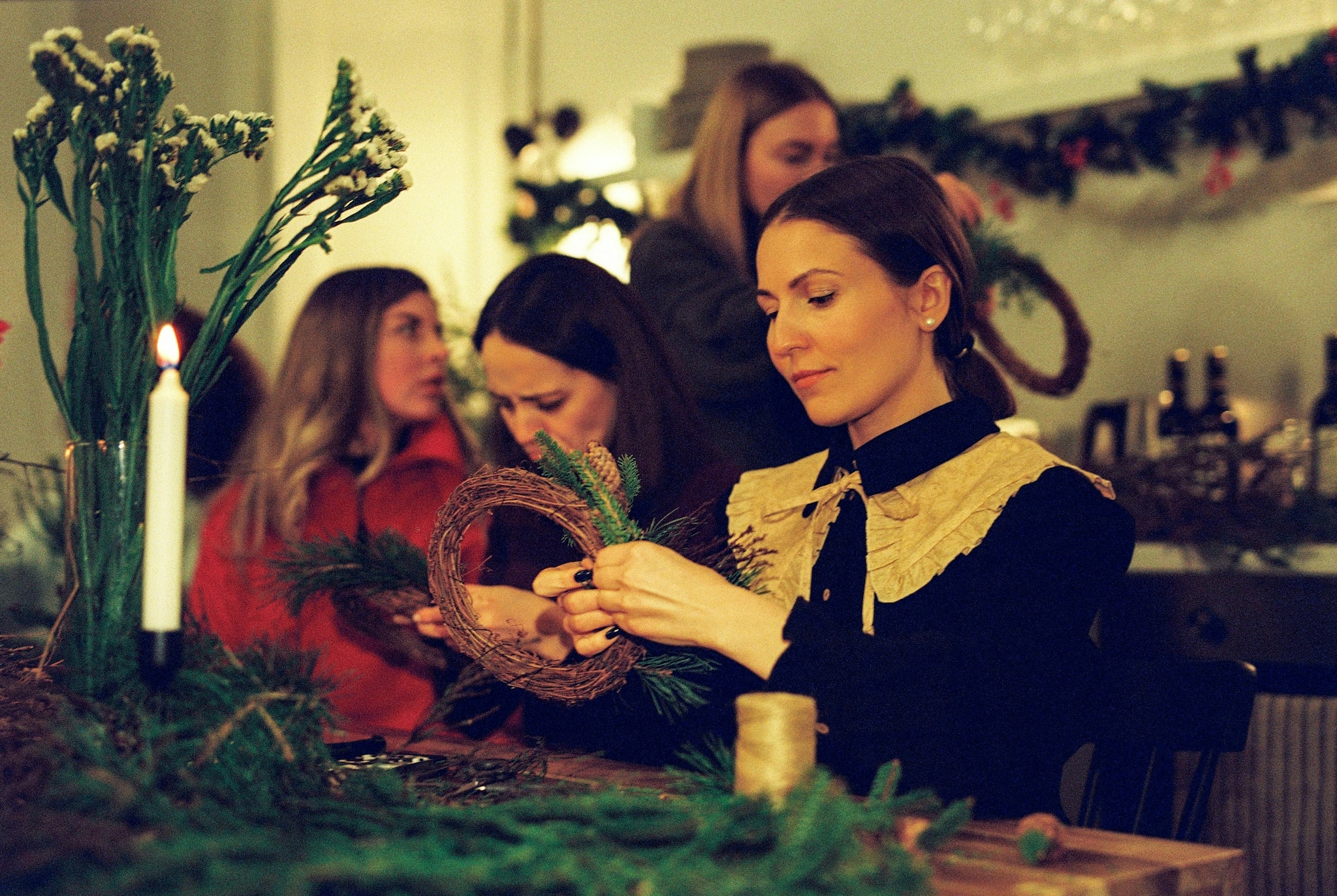 5 indoor plants that bring luck and prosperity, perfect for your Christmas decor