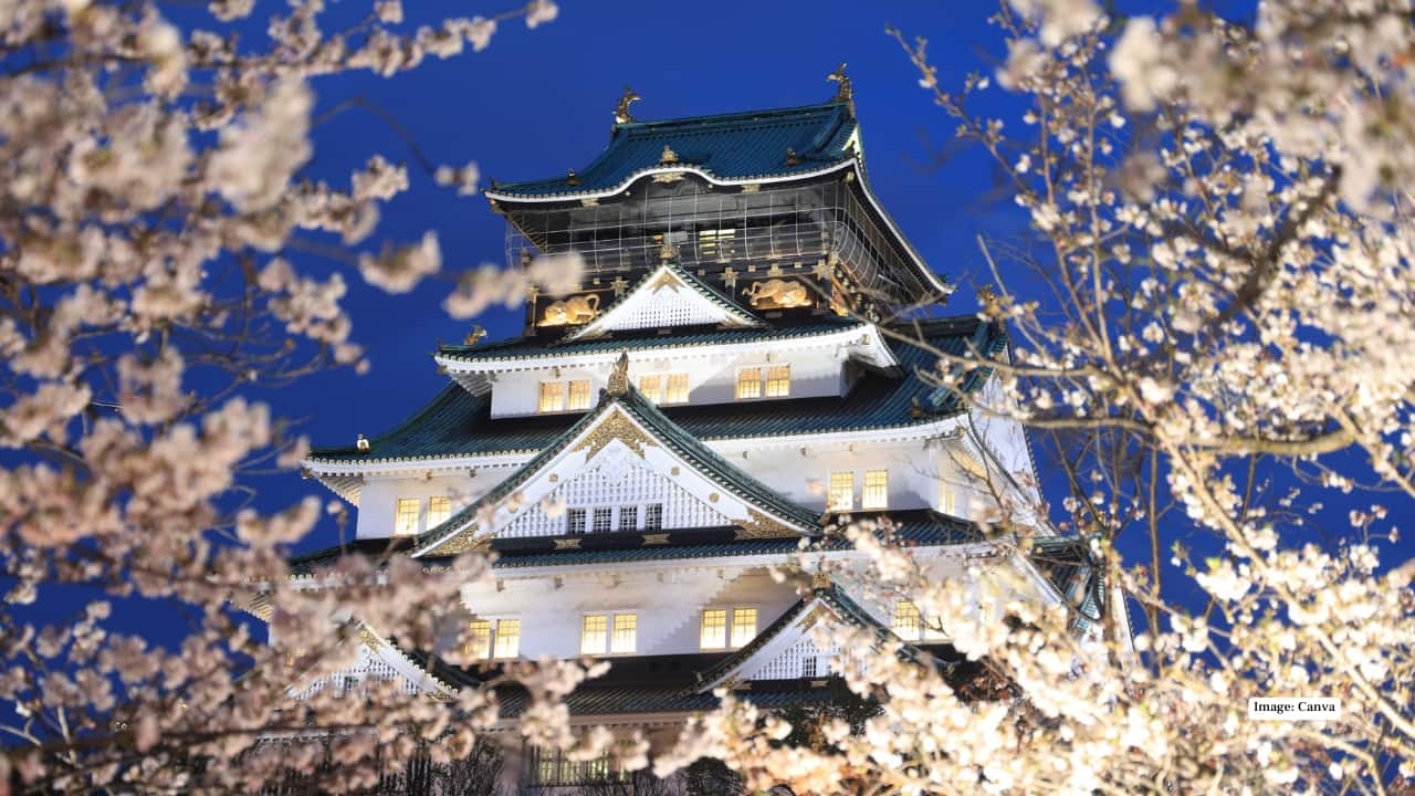 3. Osaka – Riverside Beauty and Iconic Landmarks Osaka Castle Park boasts more than 4,000 cherry trees, creating a stunning contrast against the castle’s historic walls. Meanwhile, Kema Sakuranomiya Park offers riverside sakura views perfect for photography and leisurely hanami picnics, combining urban vibrancy with spring serenity.