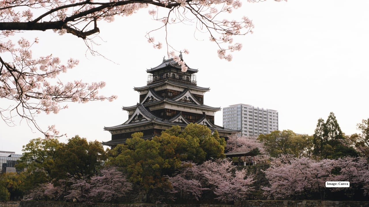 5. Hiroshima – Reflective Hanami Amid History Hiroshima offers a contemplative sakura experience. Peace Memorial Park and Shukkeien Garden allow visitors to enjoy cherry blossoms in tranquil settings, blending the beauty of nature with the city’s poignant historical backdrop.