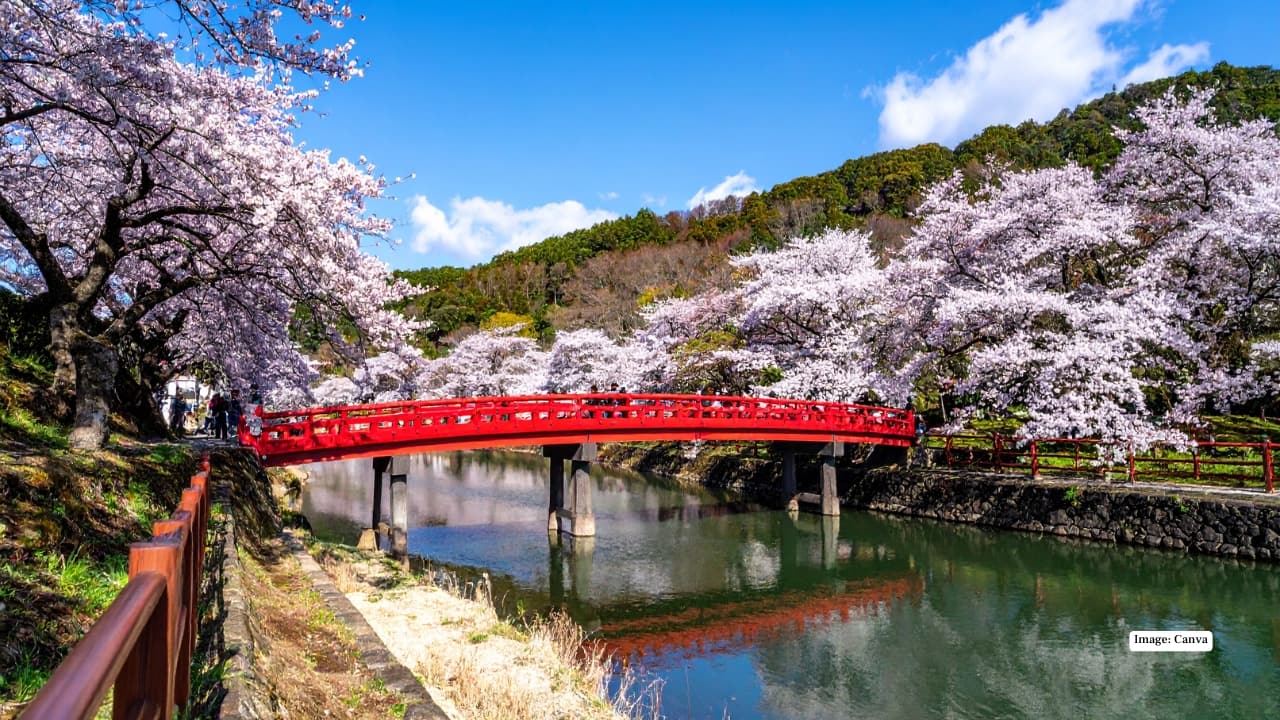 The sakura season begins in the south in early March and gradually moves north, with peak blooms in regions like Tokyo, Kyoto, and Osaka expected between late March and early April 2026. Hokkaido’s blossoms, however, bloom later, offering a chance for late-season travelers to chase the petals into May. With only about a week of peak bloom at each location, timing your trip right is crucial — and these eight destinations promise the ultimate cherry blossom experience.