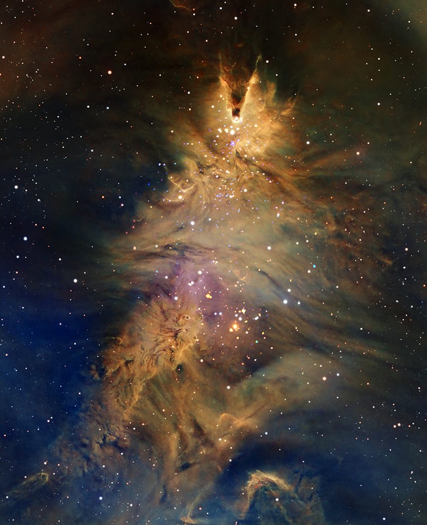 The Christmas Tree Nebula, also known as NGC 2264. (Image: NASA/CXC/SAO)