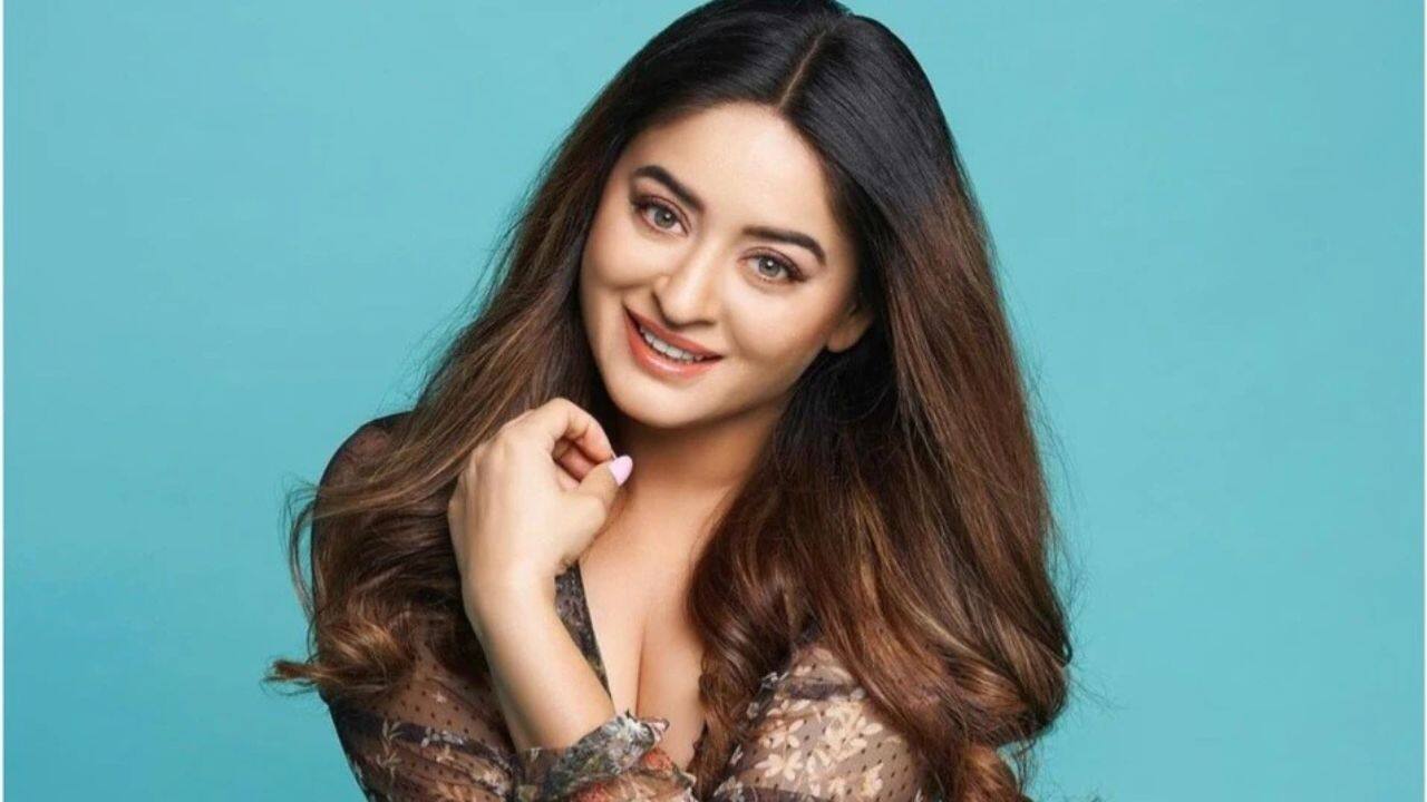 Mahhi Vij  Mahhi Vij has won hearts with her powerful comeback on television through Seher Hone Ko Hai, earning praise from fans for her role as a fearless mother.