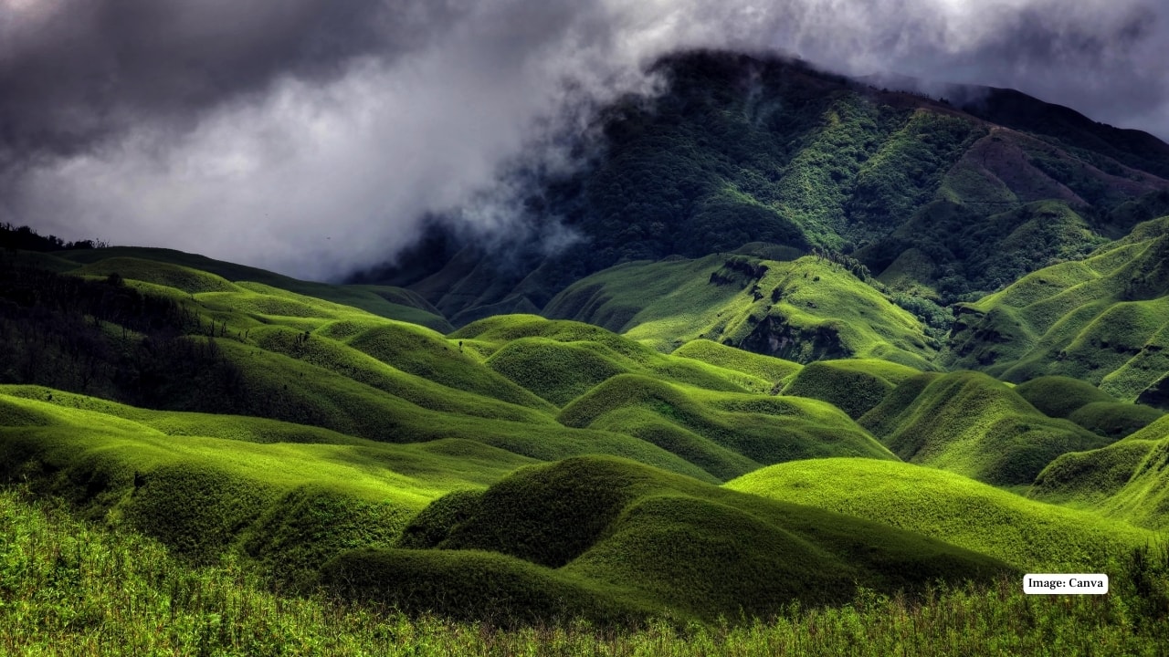 Dzüko Valley, Nagaland