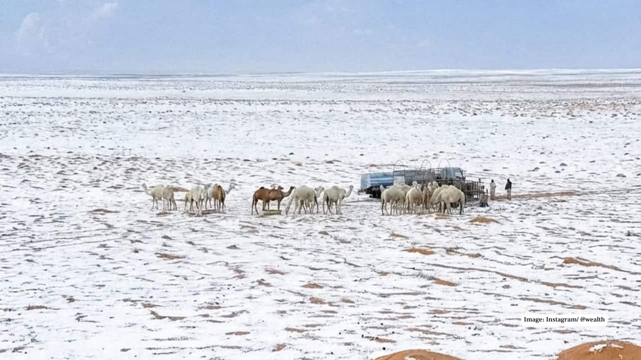 Saudi Arabia sees first snowfall in 30 years as desert landscapes turn into winter wonderland