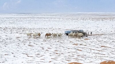 Snow blankets Saudi Arabia’s desert and mountain regions as freezing temperatures transform parts of the Kingdom into a rare winter landscape.
