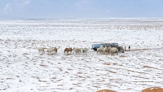 Saudi Arabia sees first snowfall in 30 years as desert landscapes turn into winter wonderland