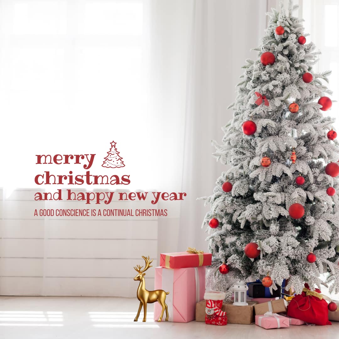Merry Christmas 2025 Pictures (image: canva)