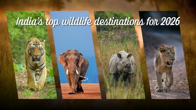 From tiger trails and lion territories to misty mangroves and Himalayan cold deserts, these wildlife destinations promise unforgettable safari stories across India in 2026.
