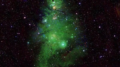 NASA Captures Star Cluster NGC 2264 Looks Like a Festive Christmas Tree (Image: NASA)
