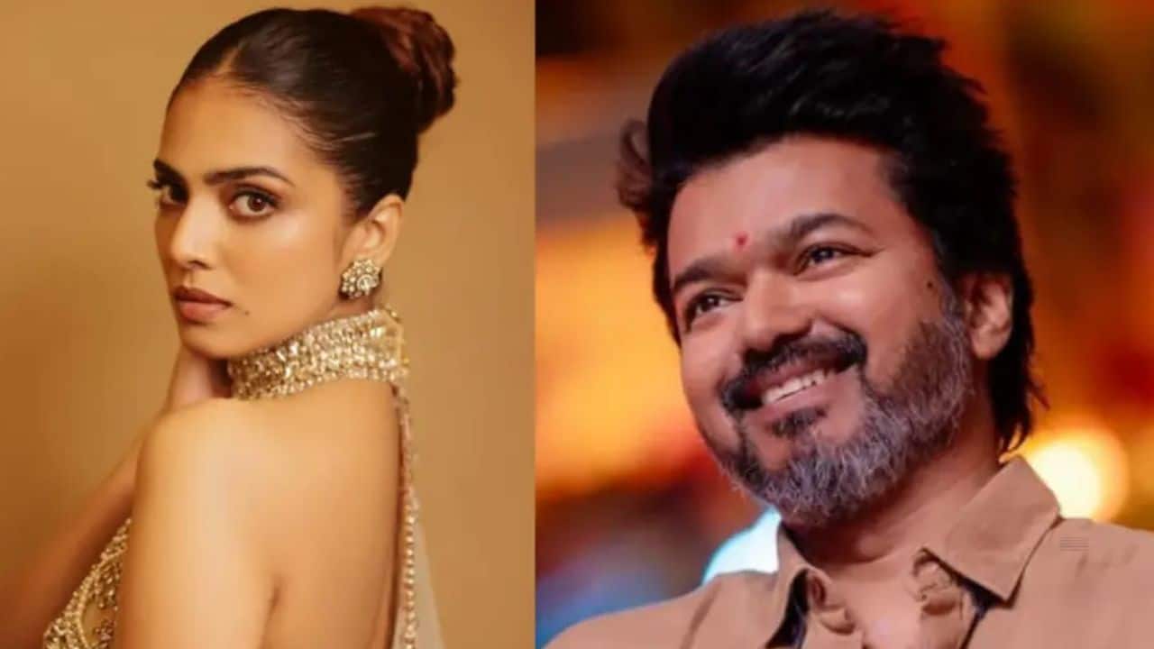 Malavika Mohanan cheers for Thalapathy Vijay ahead of ‘Jana Nayagan’ audio launch