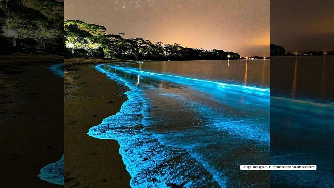 3. Vaadhoo Island – Maldives (Bioluminescent Blue Beach) By day, Vaadhoo looks calm and unassuming. By night, the shoreline glows electric blue as bioluminescent plankton light up with every wave and footprint, creating the illusion of walking across a star-filled sea.