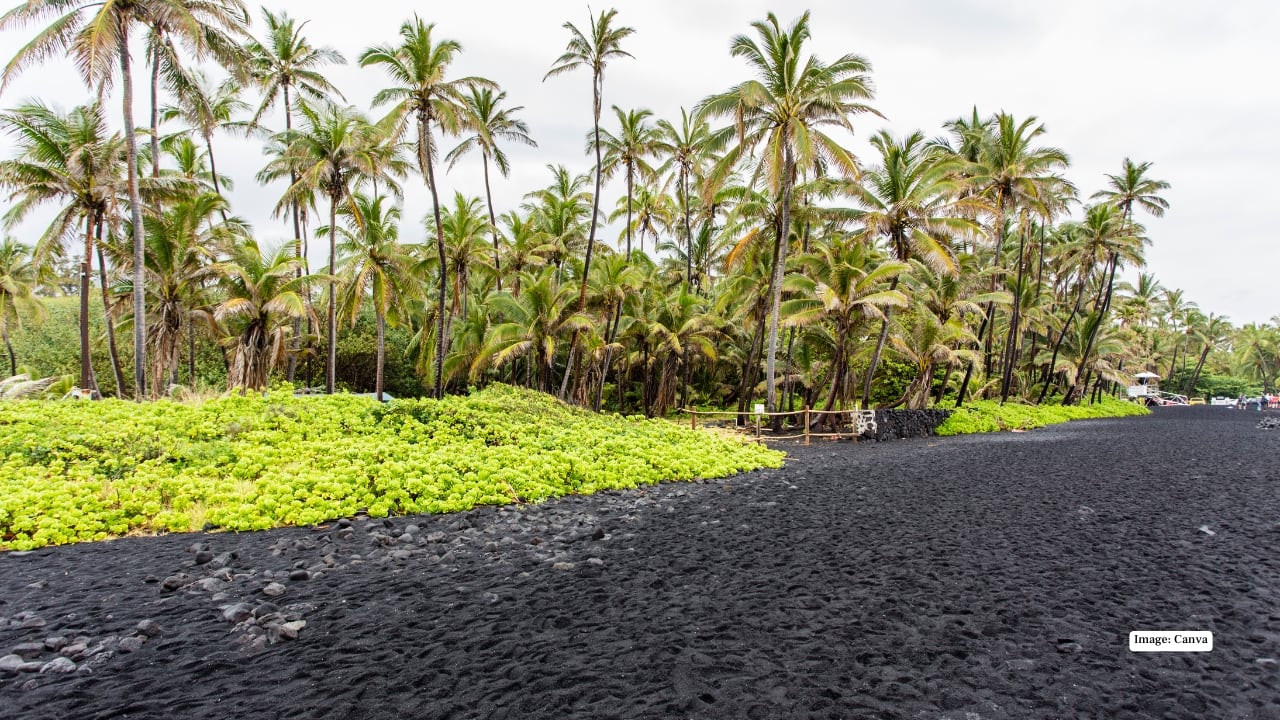 7. Punaluʻu Beach – Hawaii, USA (Black Volcanic Sand) Created by lava flowing into the ocean, Punaluʻu’s jet-black sand offers a stark, dramatic contrast to blue Pacific waters. It’s also a favourite resting spot for endangered Hawaiian green sea turtles.
