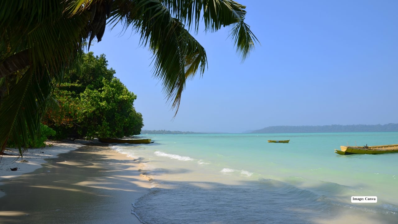 1. Andaman Islands (Havelock & Neil Island) If you ask experienced divers where India truly shines underwater, most will point east. The Andamans feel like a different country once you dive in—clear visibility, healthy reefs and marine life that actually wants to be seen. Turtles glide past without urgency; reef fish paint the corals in neon. This is where many fall in love with diving for the first time—and where seasoned divers keep coming back. 1. Andaman Islands (Havelock & Neil Island) If you ask experienced divers where India truly shines underwater, most will point east. The Andamans feel like a different country once you dive in—clear visibility, healthy reefs and marine life that actually wants to be seen. Turtles glide past without urgency; reef fish paint the corals in neon. This is where many fall in love with diving for the first time—and where seasoned divers keep coming back.
