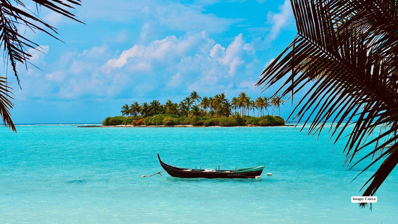 2. Lakshadweep Reaching Lakshadweep takes effort, but that’s exactly why it feels so untouched. The lagoons here are calm, shallow and impossibly blue, making snorkelling almost meditative. Slip a little deeper and you’ll find coral gardens that feel frozen in time. It’s quiet, raw and refreshingly free of crowds—diving as it used to be. 2. Lakshadweep Reaching Lakshadweep takes effort, but that’s exactly why it feels so untouched. The lagoons here are calm, shallow and impossibly blue, making snorkelling almost meditative. Slip a little deeper and you’ll find coral gardens that feel frozen in time. It’s quiet, raw and refreshingly free of crowds—diving as it used to be.