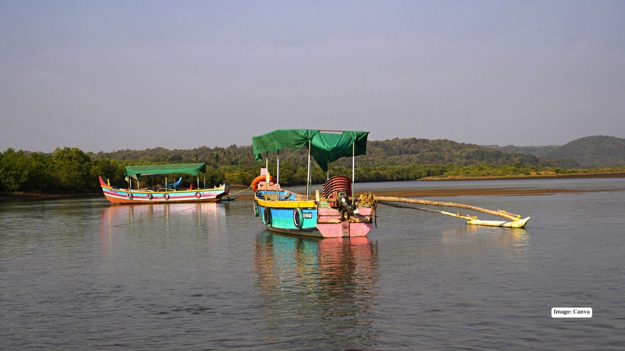 6. Tarkarli, Maharashtra Tarkarli doesn’t look like a diving hotspot at first glance—and then you step into the water. Visibility here can be surprisingly good, especially for snorkelling, making it perfect for travellers who want gentle underwater exploration without venturing too far out. Simple, scenic and unexpectedly rewarding. 6. Tarkarli, Maharashtra Tarkarli doesn’t look like a diving hotspot at first glance—and then you step into the water. Visibility here can be surprisingly good, especially for snorkelling, making it perfect for travellers who want gentle underwater exploration without venturing too far out. Simple, scenic and unexpectedly rewarding.