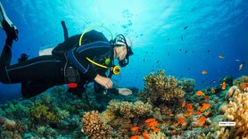 Best 9 scuba diving and snorkeling spots in India 2026