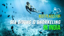 Best 9 scuba diving and snorkeling spots in India 2026
