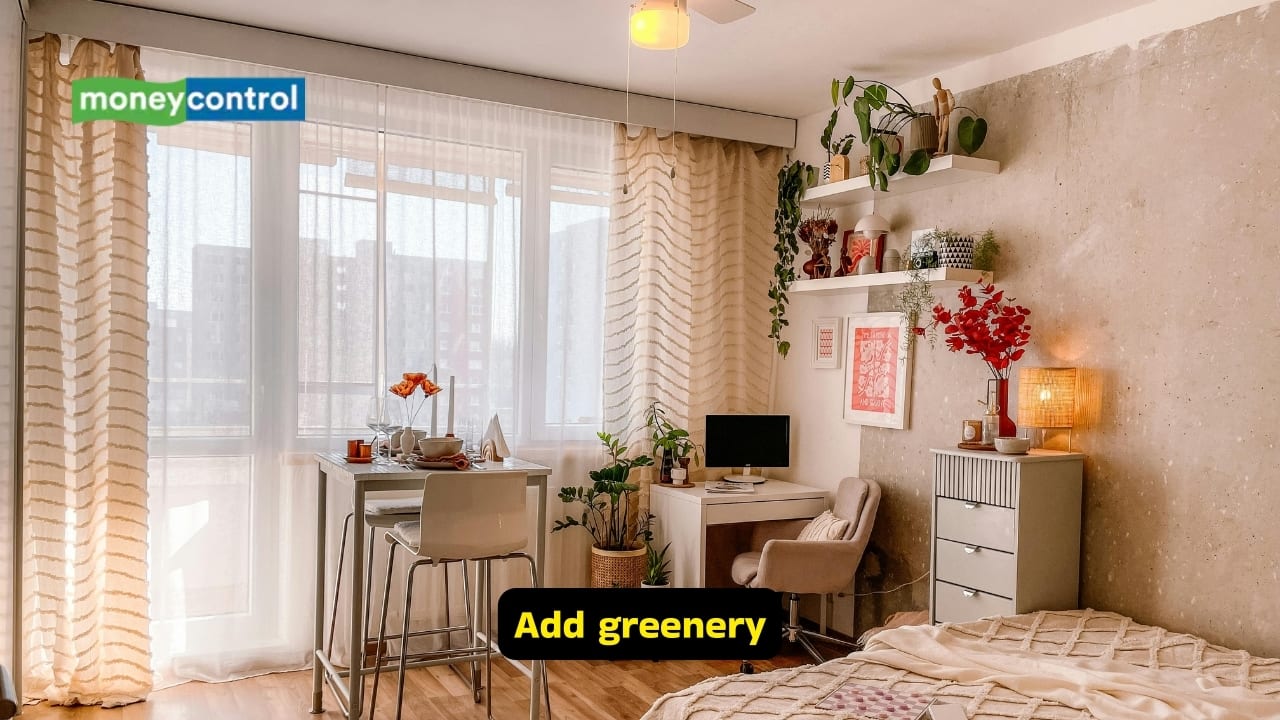 Home decor tips: Add greenery (Image: Canva)