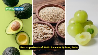 Best superfoods of 2025: Add avocado, quinoa, Indian gooseberry and others to your daily diet (Images: Canva)