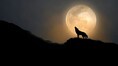 January 2026 Wolf Supermoon rises: When and where to catch the spectacular full Moon